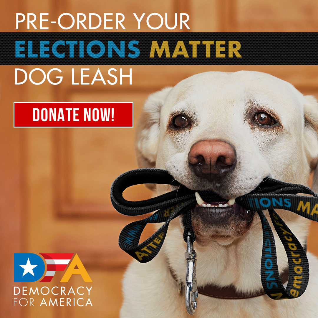 DFA Elections Matter Dog Leash